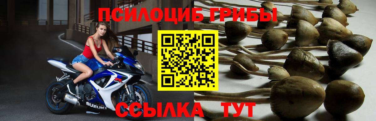 Галлюциногенные грибы ЛСД Прокопьевск